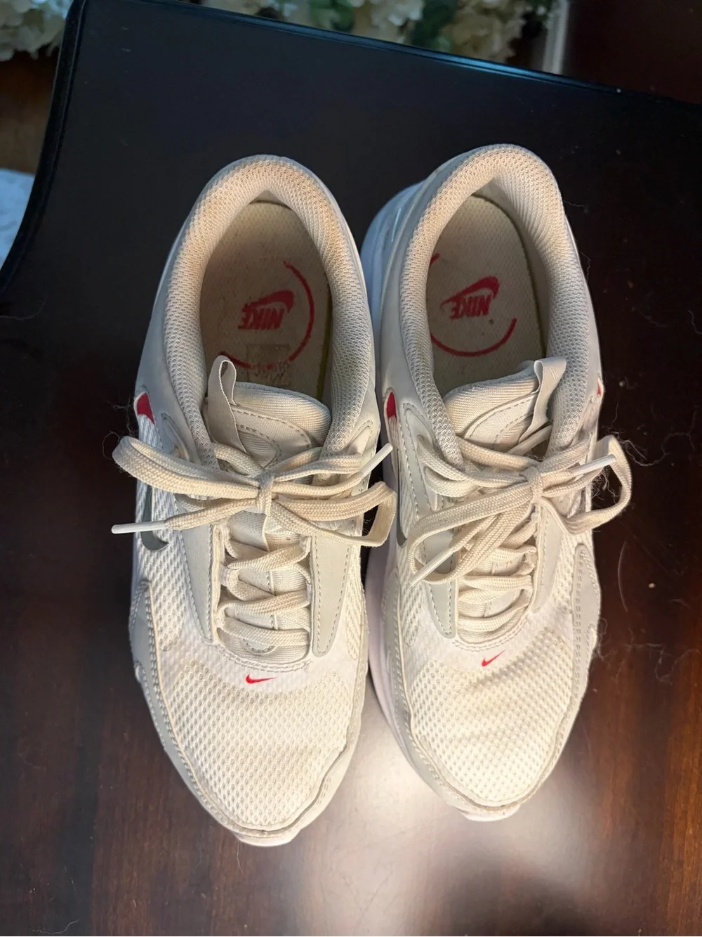 Nike Air Max Sneakers